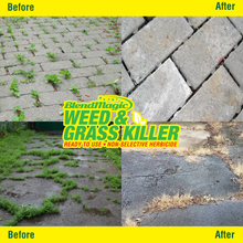 Load image into Gallery viewer, Blendmagic Weed Killer Fast Acting Natural Formula treats up to 950 sqft per gallon. GLYPHOSATE-FREE FORMULA:.